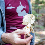 Bucks Lake Crew-Neck Tee
