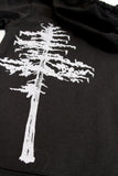 Sugar Pine Eclipse